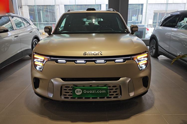 Used smart #5 2024 Ultra-Long Range Extraordinary Journey Luxury Edition