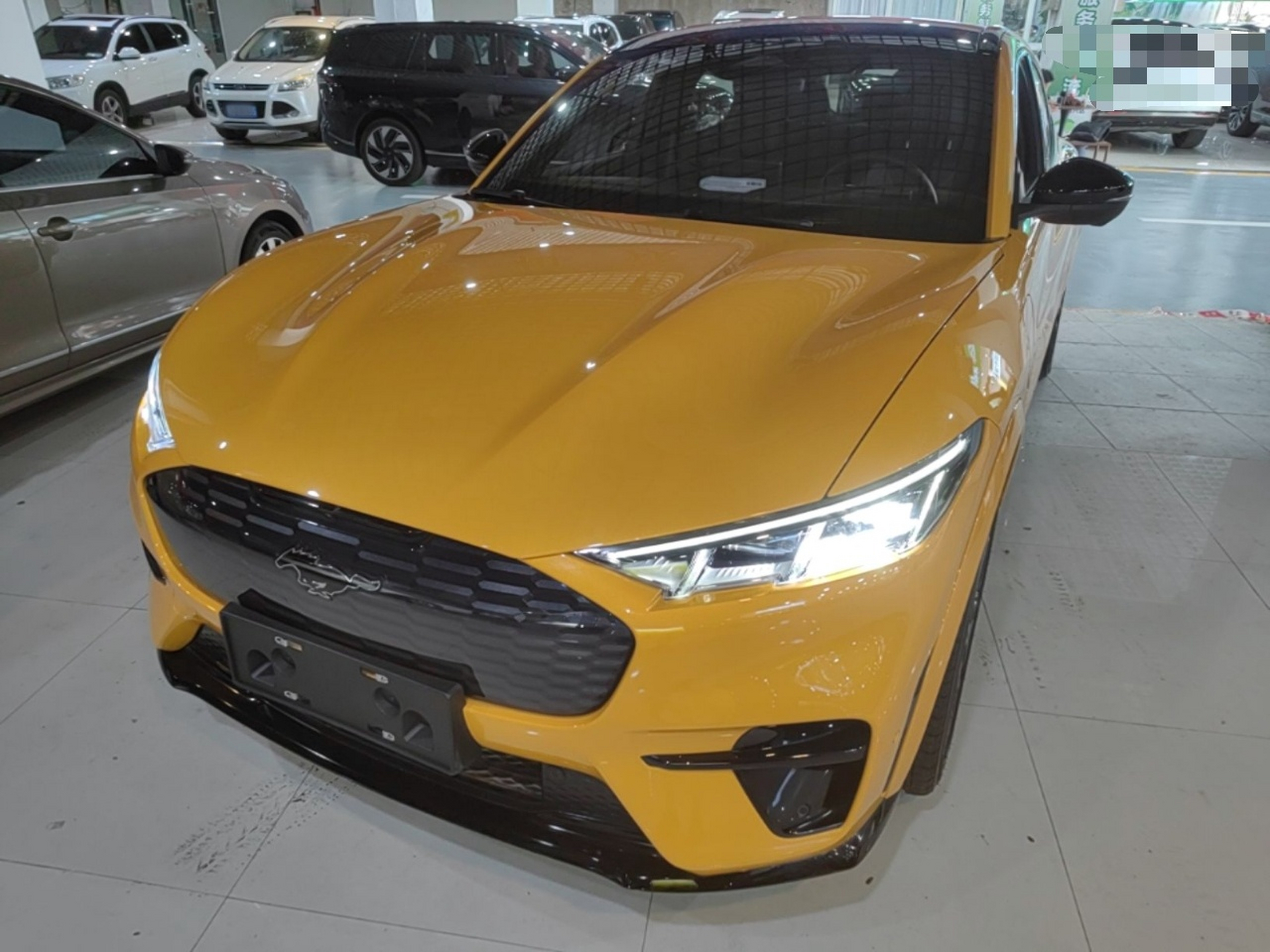 Under Front Bumper