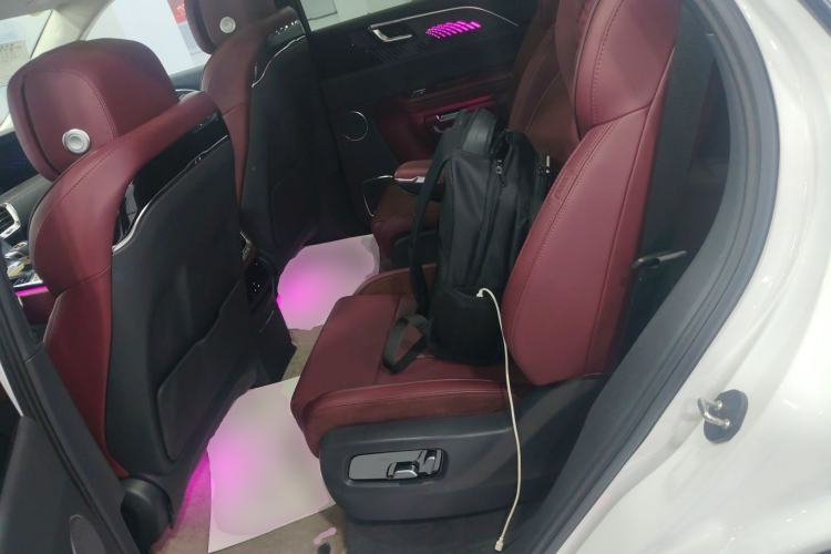 Used Hongqi E-HS9 2022 690 km Range Flagship Edition Six Seats Left Rear Seat