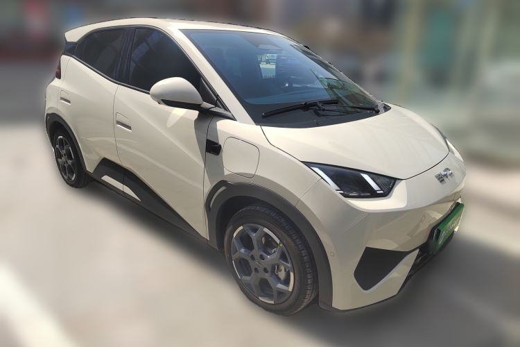 Used BYD Seagull 2025 Smart Drive Version 305 km Freedom Edition