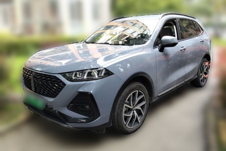 Used Wey Latte DHT-PHEV 2022 1.5T Two-Wheel Drive Big Cup