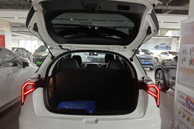 Used Geometry E Firefly 2024 401 km Fluorescent
