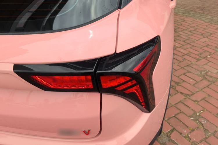 Used NETA V 2021 Witch Edition