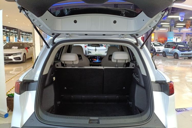 Used BYD Yuan UP 2024 401KM Leading Edition
