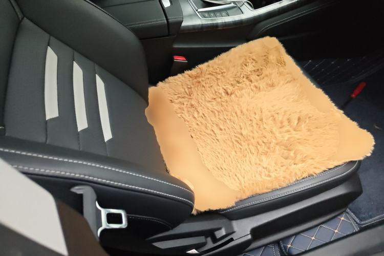 Used BYD Qin Pro New Energy 2019 EV Flagship Edition Right Front Seat