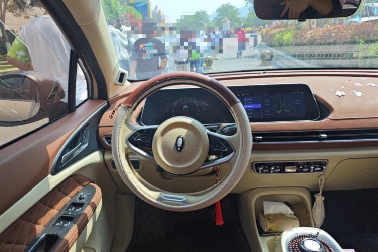 Used ORA Good Cat 2021 400km Standard Range Venus Edition Lithium-Ion Battery
