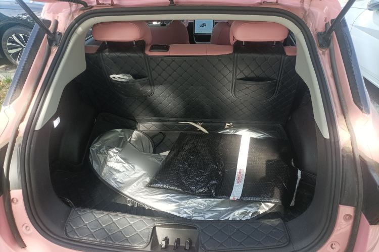 Used NETA V 2021 Witch Edition