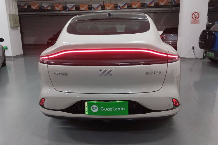 Used IM LS6 2023 Max Long-Range Version
