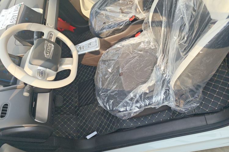 Used Qiyuan Lumin 2026 Model Treasure Edition 205km Passionate Beige Ningde