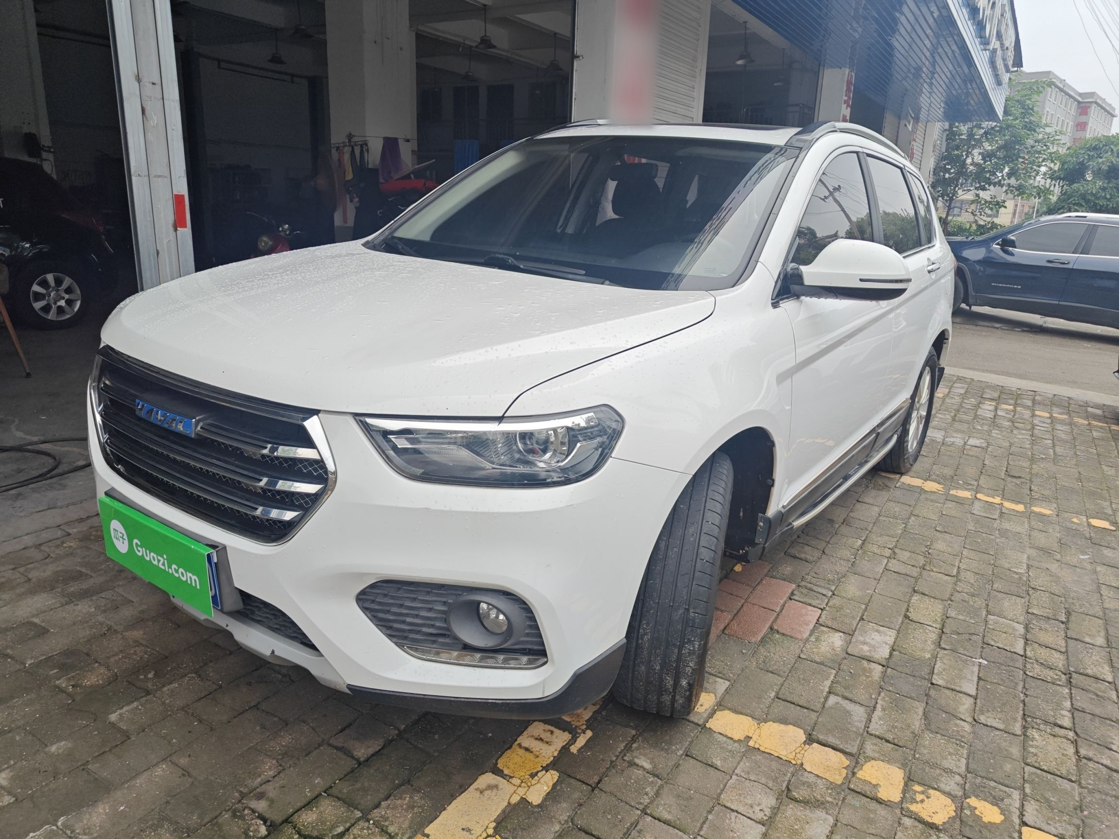 Parte inferior delantera