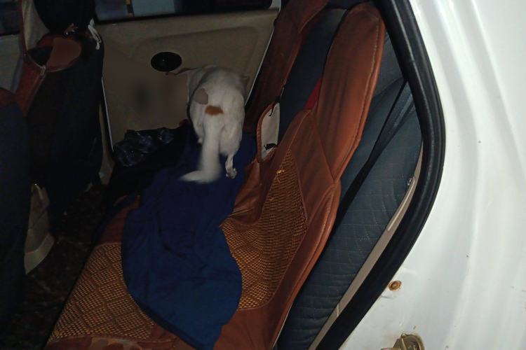 Used JMEV E100B 2016 E100 Standard Model
