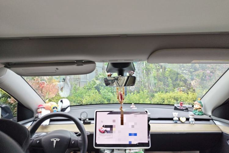 Used Tesla Model Y 2023 Long-Range All-Wheel-Drive Version Headliner