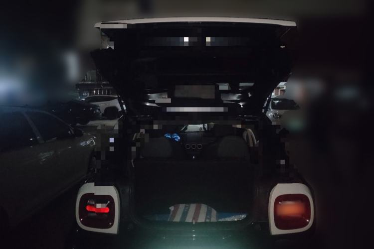 Used ORA Black Cat 2019 351 km Family Edition
