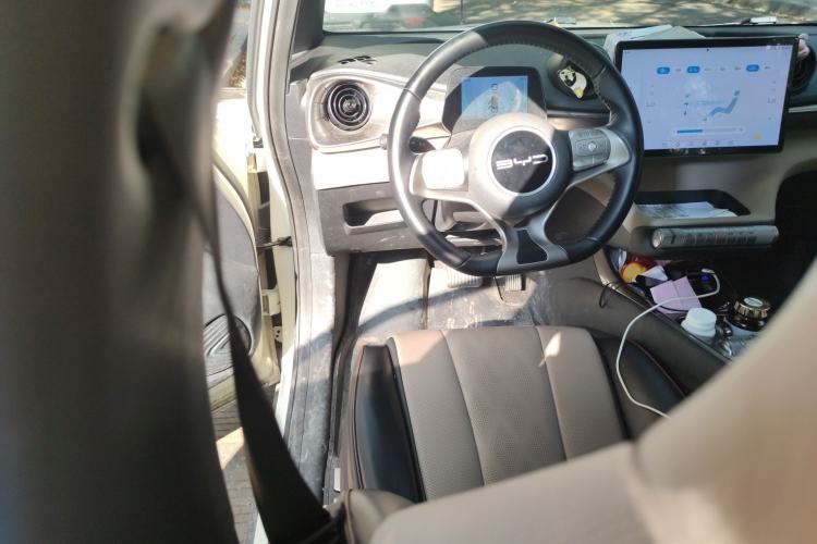 Used BYD Dolphin 2023 420 km Free Version Steering Wheel