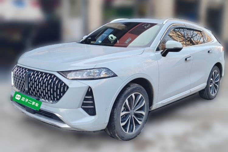 Used Wey Mocha 2021 2.0T Two-Wheel-Drive Ultra-Strong Version