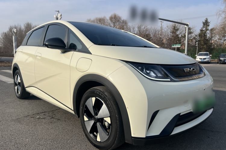 Used BYD Dolphin 2023 420 km Free Version