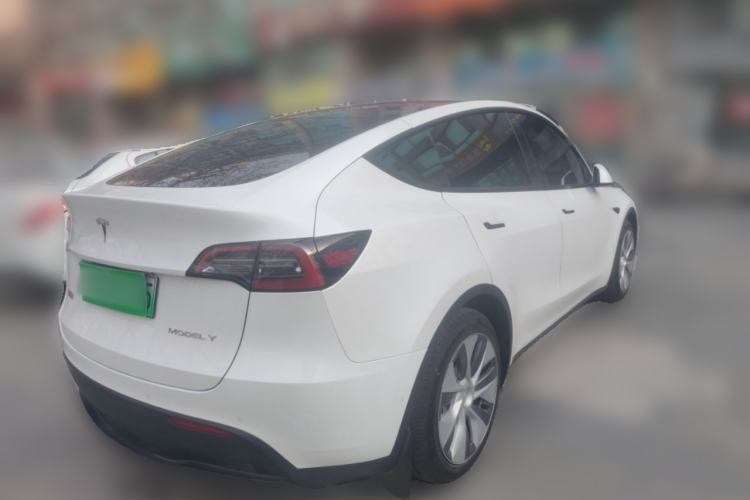 Used Tesla Model Y 2021 Standard Range Rear-Wheel Drive Version
