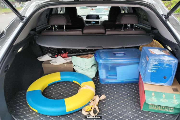 Used Lexus RX 2020 Facelifted 300 4x4 Elegant Edition