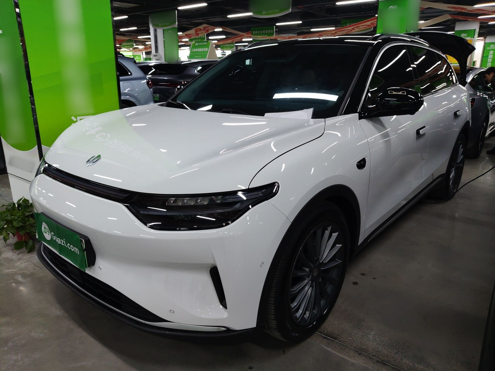 Parte inferior delantera