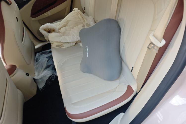 Used ORA Good Cat 2021 400km Standard Range Venus Edition Lithium Iron Phosphate
