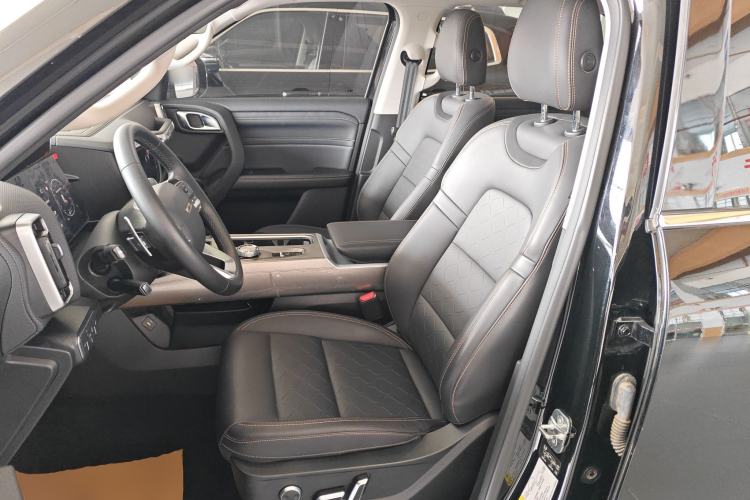 Used Haval DARGO 2024 2.0T DCT Chinese Rural Dog Edition
