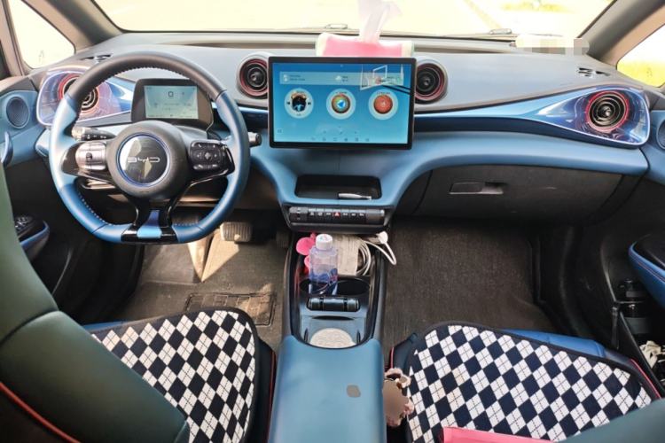 Used BYD Dolphin 2021 405 km Fashion Edition Center Console