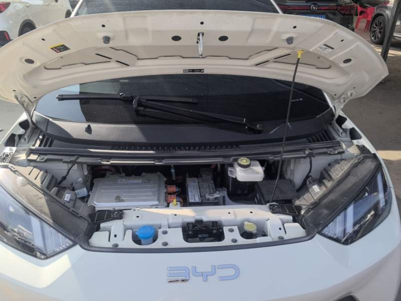 Used BYD Seagull 2025 305km Active Version — 19