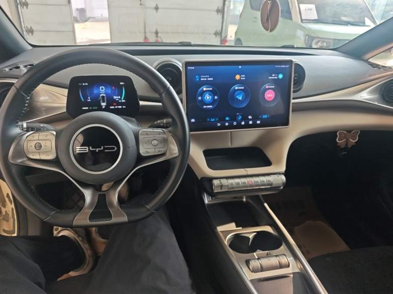 Used BYD Dolphin 2023 420 km Free Version — 9
