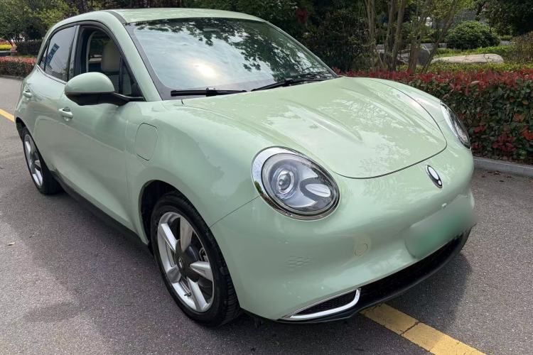 Used ORA Good Cat 2022 Morandi Edition 400km Standard Range Premium Version Lithium Iron Phosphate Exterior 5