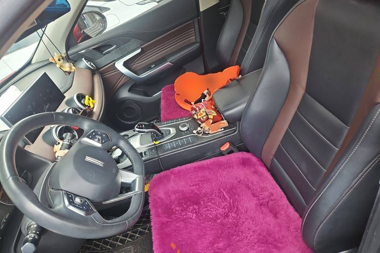 Used Wey VV5 2020 1.5T Two-Wheel Drive Color Pioneer
