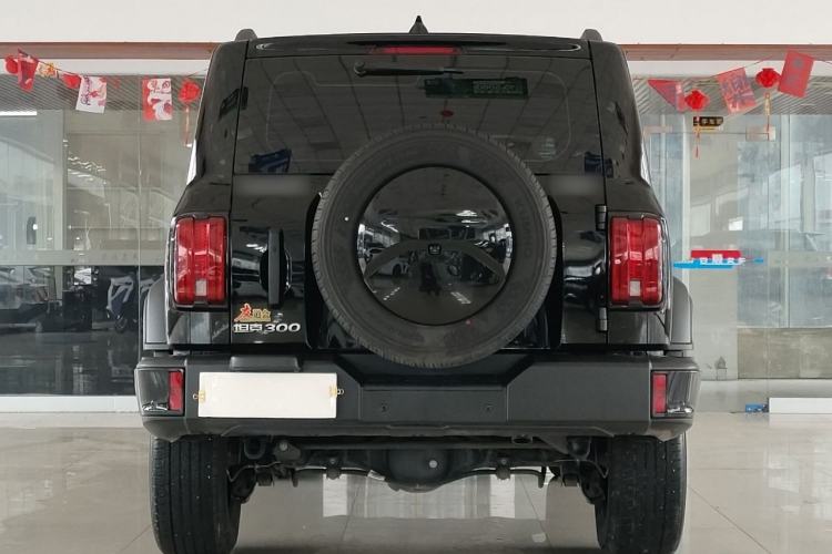 Used Tank 300 2024 2.0T Conqueror