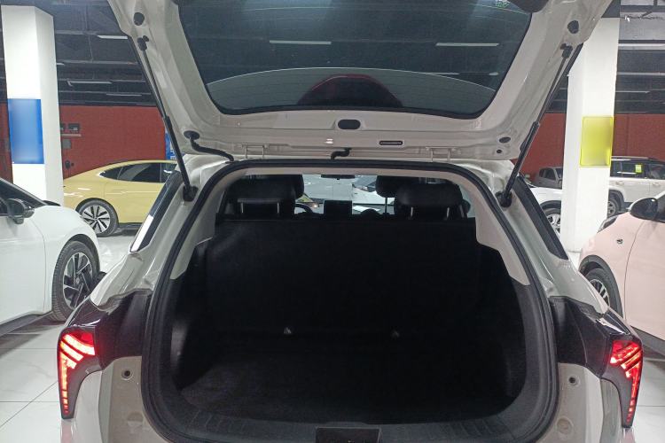 Used NETA V 2022 Pro Long-Range Smart Edition Trunk