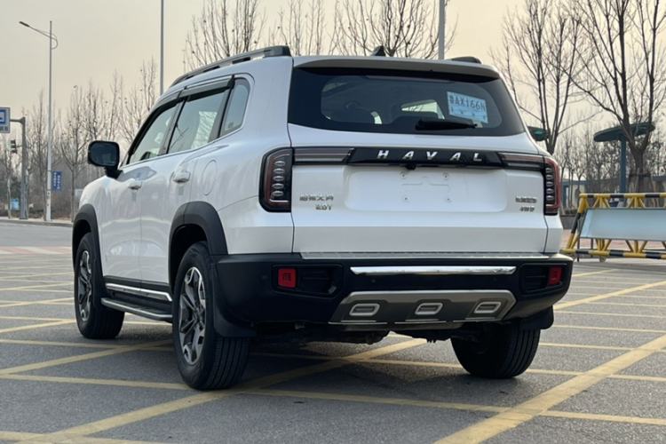 Used Haval DARGO 2021 2.0T DCT 4x4 Chinese Rural Dog Edition
