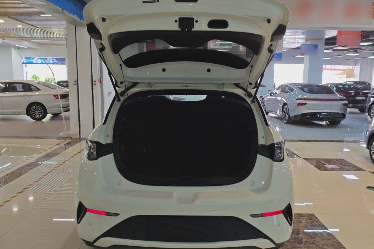 Used BYD Dolphin 2025 Smart Drive Version 420 km Freedom Edition
