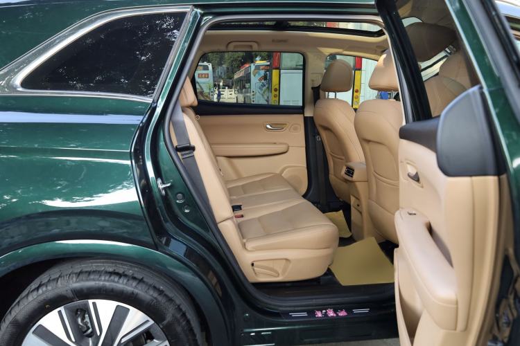 Used Landian E5 PLUS 2025 165 km Long-Range Travel Custom Edition 7 Seats