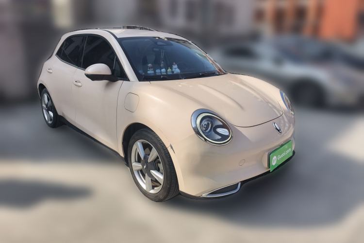 Used ORA Good Cat 2022 400km Standard Range Luxury Version Lithium Iron Phosphate