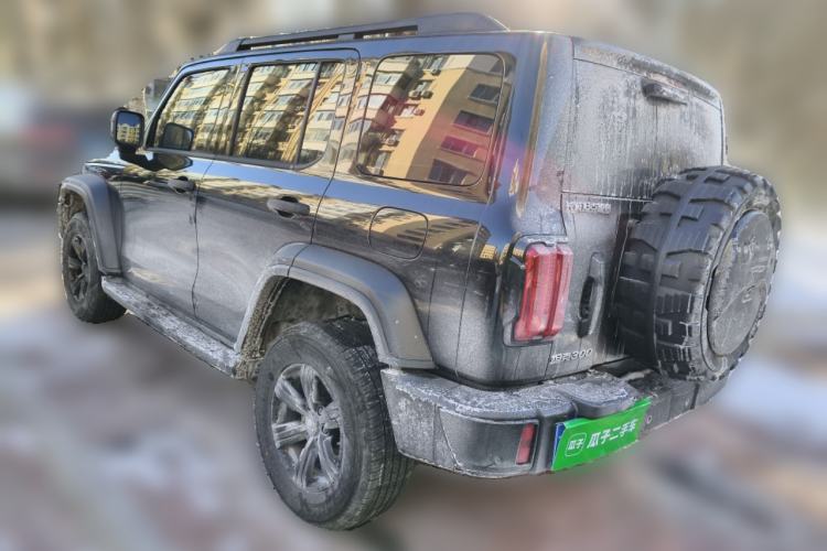 Used Tank 300 2024 2.0T Conqueror
