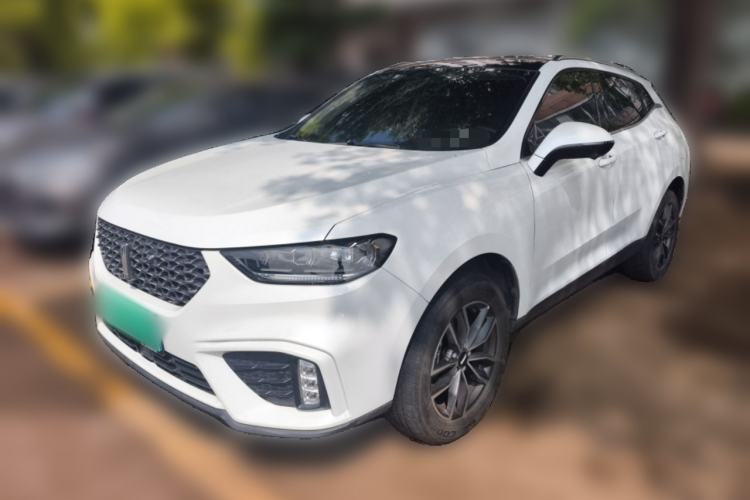 Used Wey VV5 2020 1.5T Two-Wheel Drive Smart Pioneer