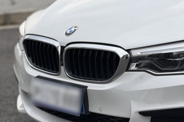 Used BMW 5 Series 2020 530Li Luxury Edition M Sport Package Exterior 8