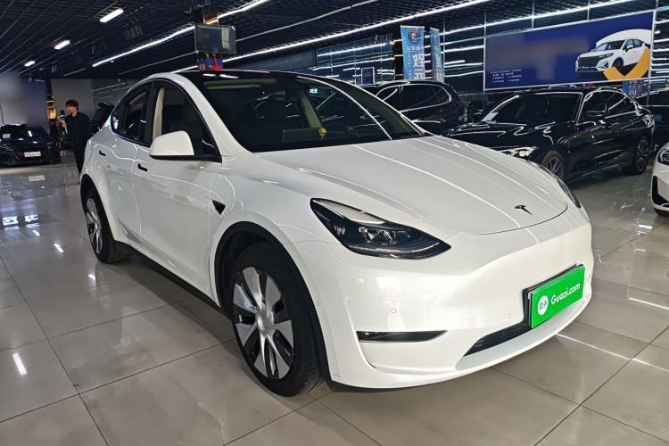 Used Tesla Model Y 2021 Standard Range Rear-Wheel Drive Version Exterior 1