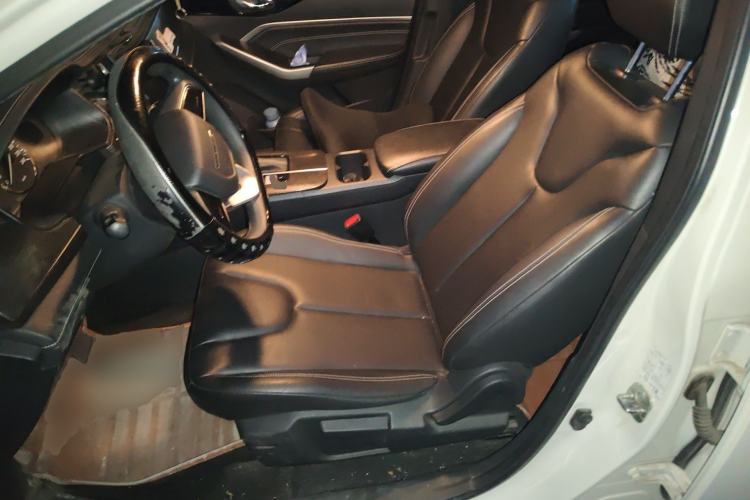 Used Venucia D60 2021 PLUS 1.6L XL CVT Yue Ling Edition Left Front Seat