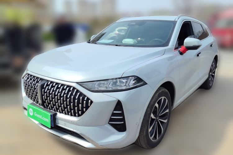 Used Wey Mocha 2021 2.0T Two-Wheel-Drive Premium Edition