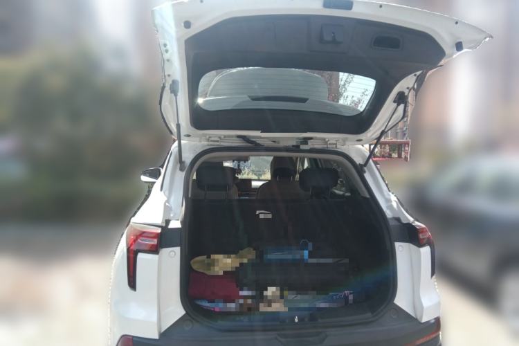 Used JAC Group X4 2020 1.5T CVT Elite Model