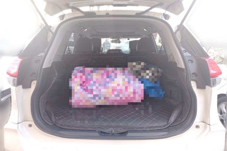 Used Nissan X-Trail 2017 2.0L CVT Comfort Edition 2WD