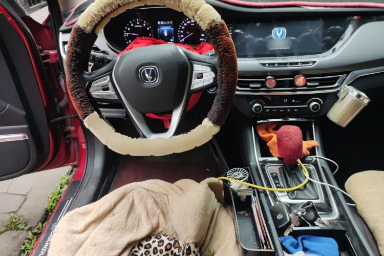 Used Changan Eado 2019 Blue Whale Edition 280T GDI DCT High-Speed Model