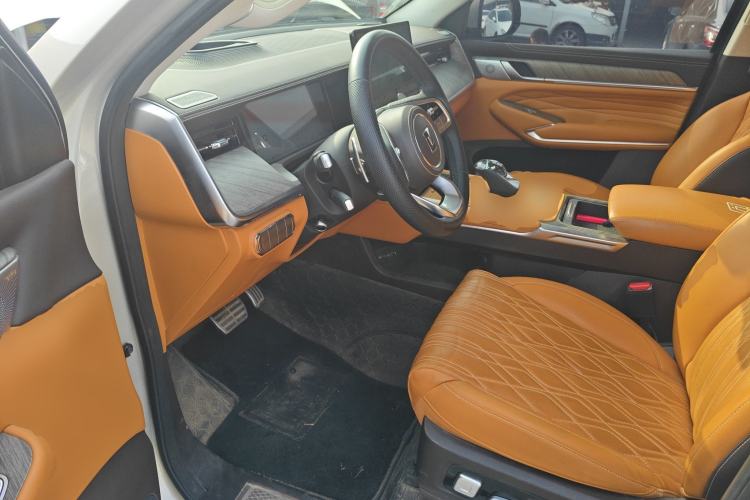 Used Tank 500 New Energy 2024 Hi4-T Driver Seat