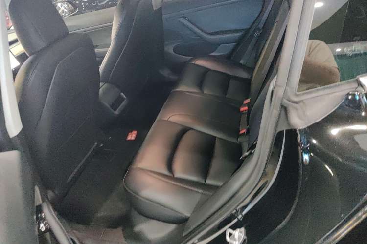 Used Tesla Model 3 2020 Standard Range Rear-Wheel Drive Upgraded Version