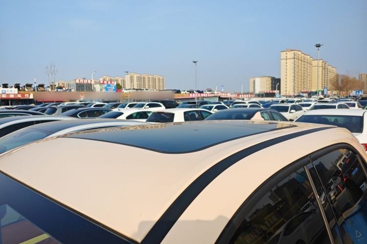 Used ORA Good Cat 2022 Morandi Edition 400km Standard Range Premium Version Lithium Iron Phosphate
