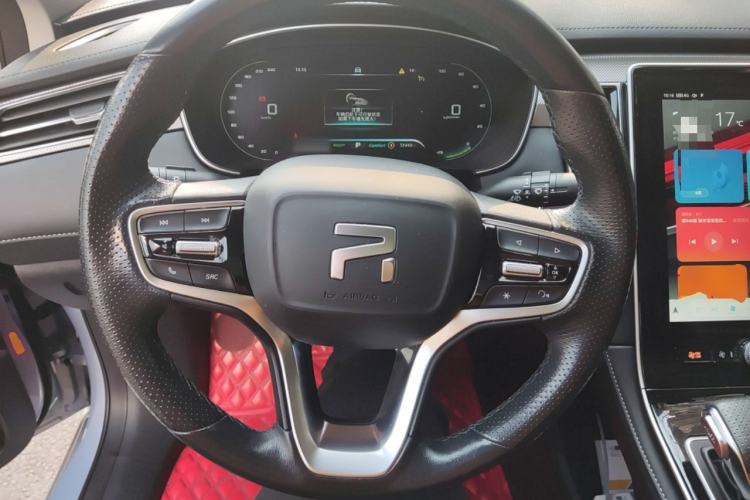 Used Rising ER6 2021 New Dynamic Edition 620km Smart Drive Version