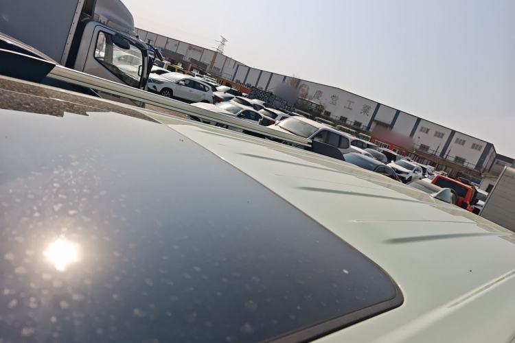 Used Tank 300 2021 City Edition 2.0T—Truly Stylish